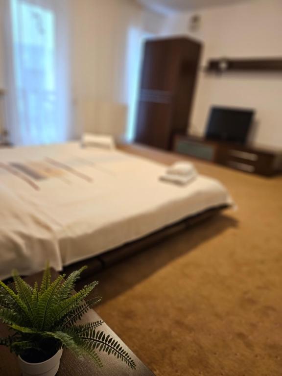 a bed in a room with a potted plant at VILA GALBENA - Poiana Brasov in Poiana Brasov