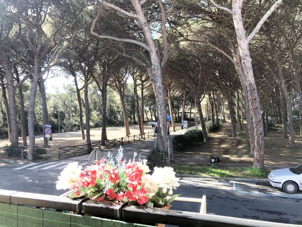 un bouquet de fleurs sur une table dans un parc dans l'établissement Appartamento ALICE a Marina di Cecina by Zoom In Earth, à Marina di Cecina