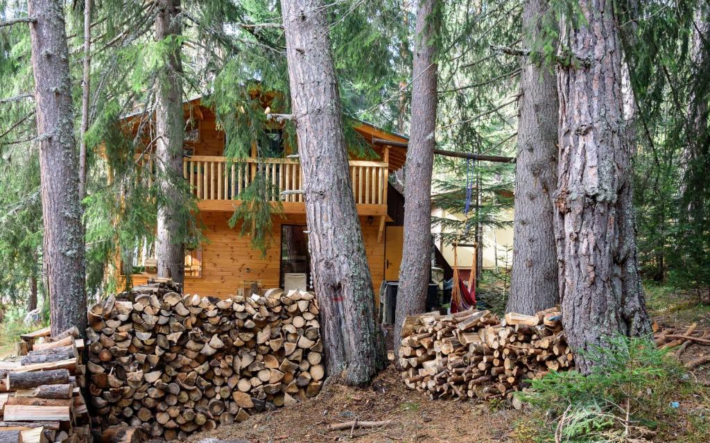 uma cabana de madeira na floresta com árvores em Life House-Semkovo em Semkovo