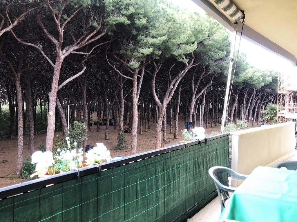 une clôture verte avec des arbres en arrière-plan dans l'établissement Appartamento SARA a Marina di Cecina by Zoom In Earth, à Marina di Cecina