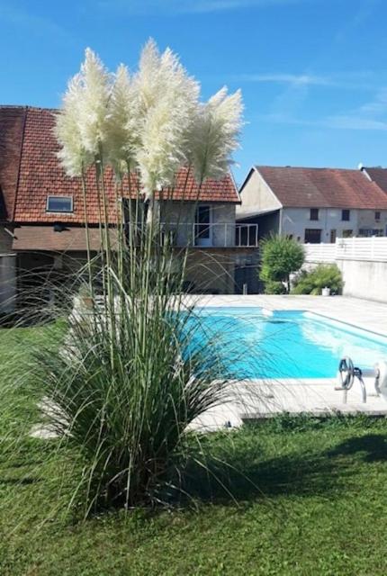 un palmier dans une cour à côté d'une piscine dans l'établissement La perle des Lacs, à Dompierre-sur-Mont