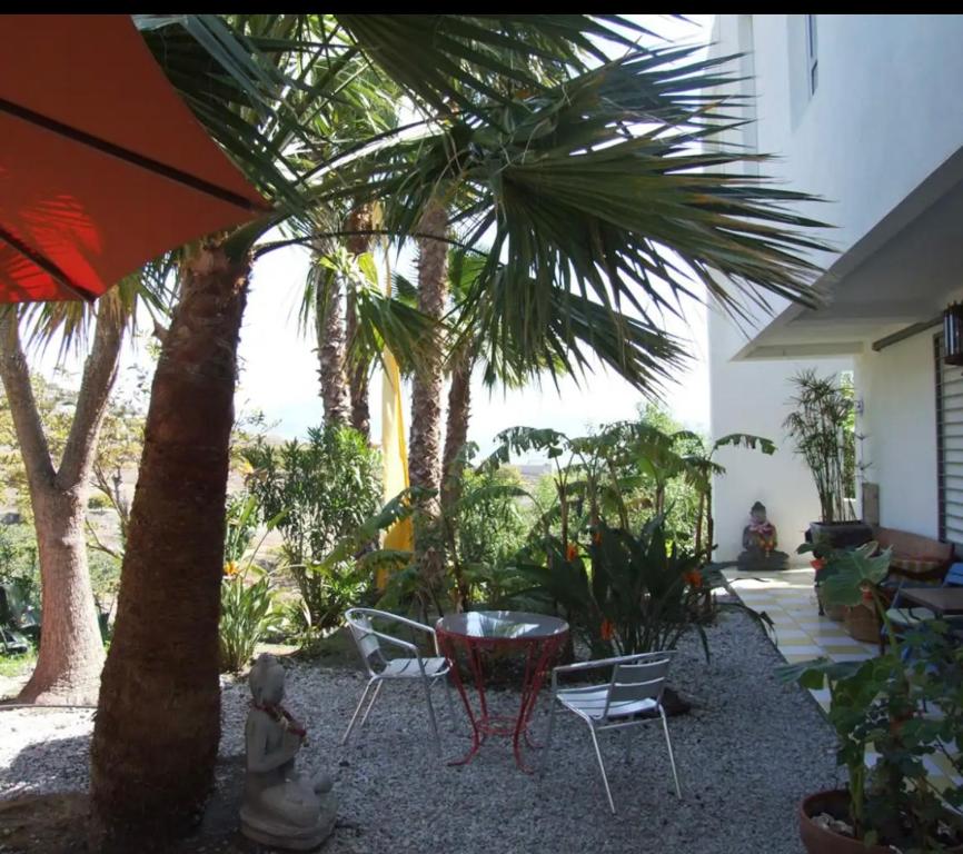 Zahrada ubytování Todimer Casa Mexicana