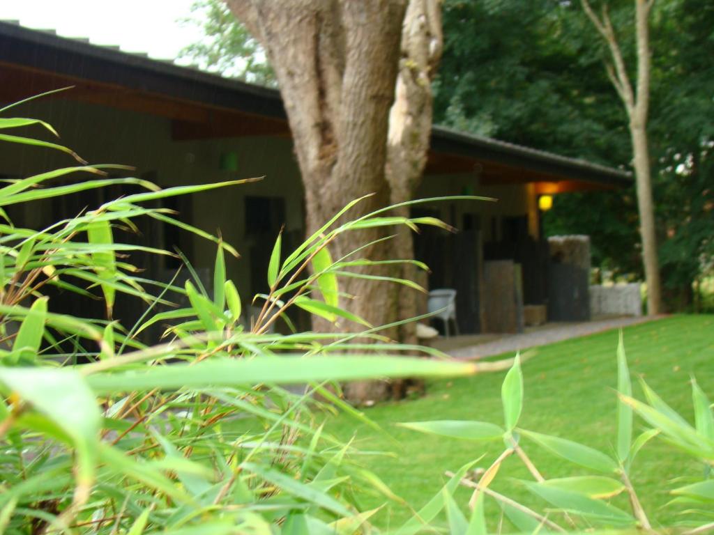 a house with a tree in front of it at Le Parc du Château in Hermonville