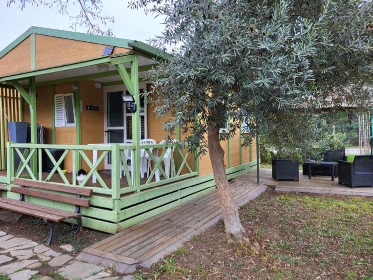 Vonkajšia záhrada v ubytovaní Chalet avec patio en Haute Corse 5 couchages