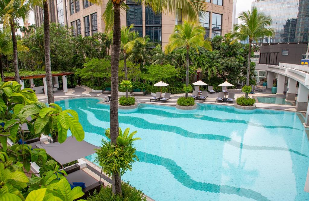 An elevated view across a large patterned pool and its tropical, urban surroundings.