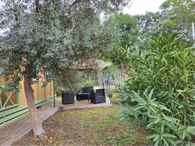 Vonkajšia záhrada v ubytovaní Chalet avec patio en Haute Corse 5 couchages