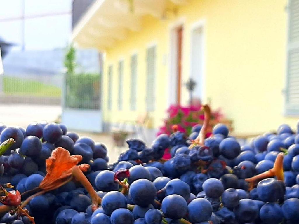 a pile of grapes in front of a house at Ciabot delle Aie - Barolo in Barolo