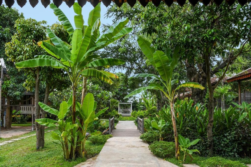 a walkway through a garden with trees at Eecfc Home Stay(VHS) in Phumĭ Ta Rós