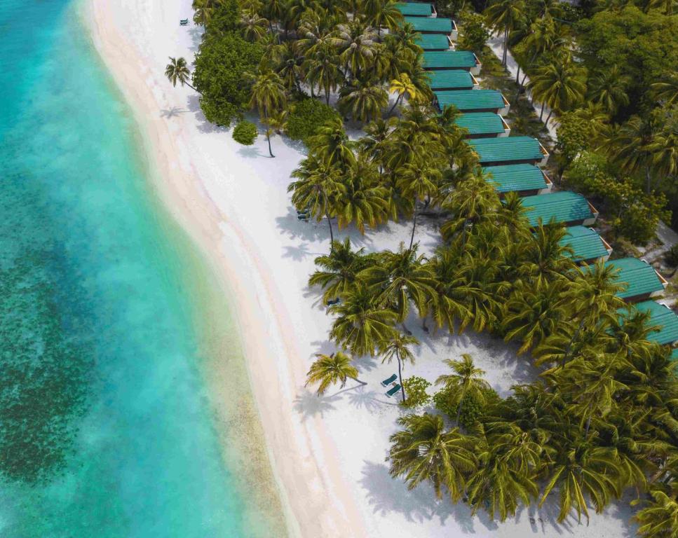 Meeru Maldives Resort Island - 10