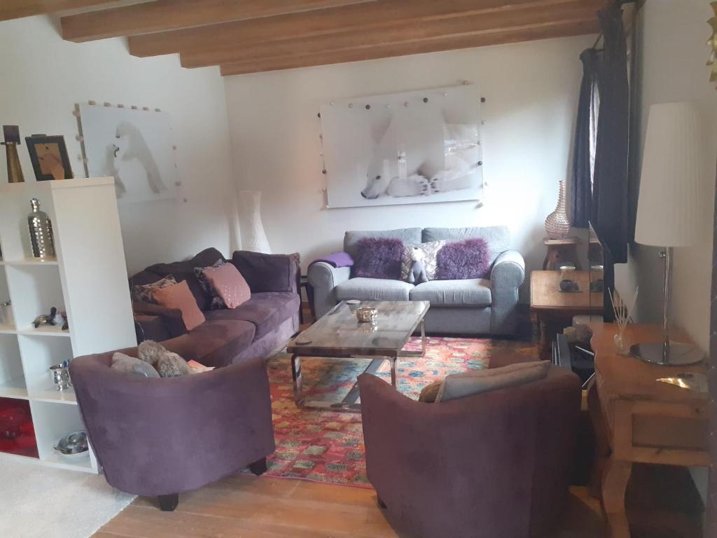Appartement La Suite Mont-Blanc في شامونيه مون بلان: غرفة معيشة مع أريكة وطاولة
