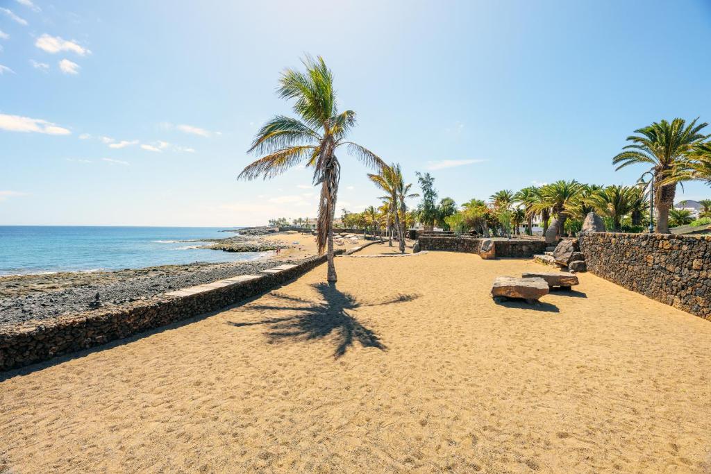 piaszczystą plażę z palmami i oceanem w obiekcie Lanzahost Casita El Molino w Costa Teguise
