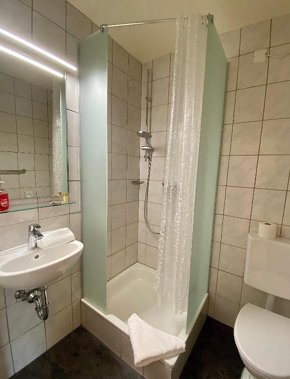 Hotel Gasthof Rose - Habitación Individual