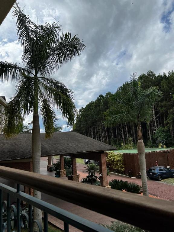 a view of a palm tree from a balcony at Vista Azul Apart Hotel - Vista Pinheiros in Pedra Azul