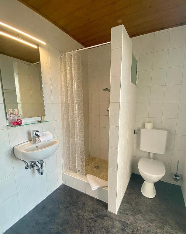 Hotel Gasthof Rose - Habitación Doble O Twin Con Cama Queensize