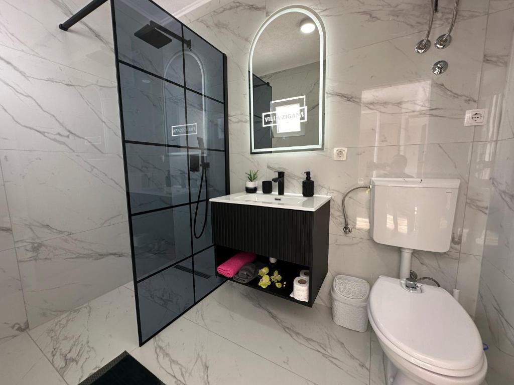 uma casa de banho com um WC, um lavatório e um espelho. em Zigana Apartments em Mostar