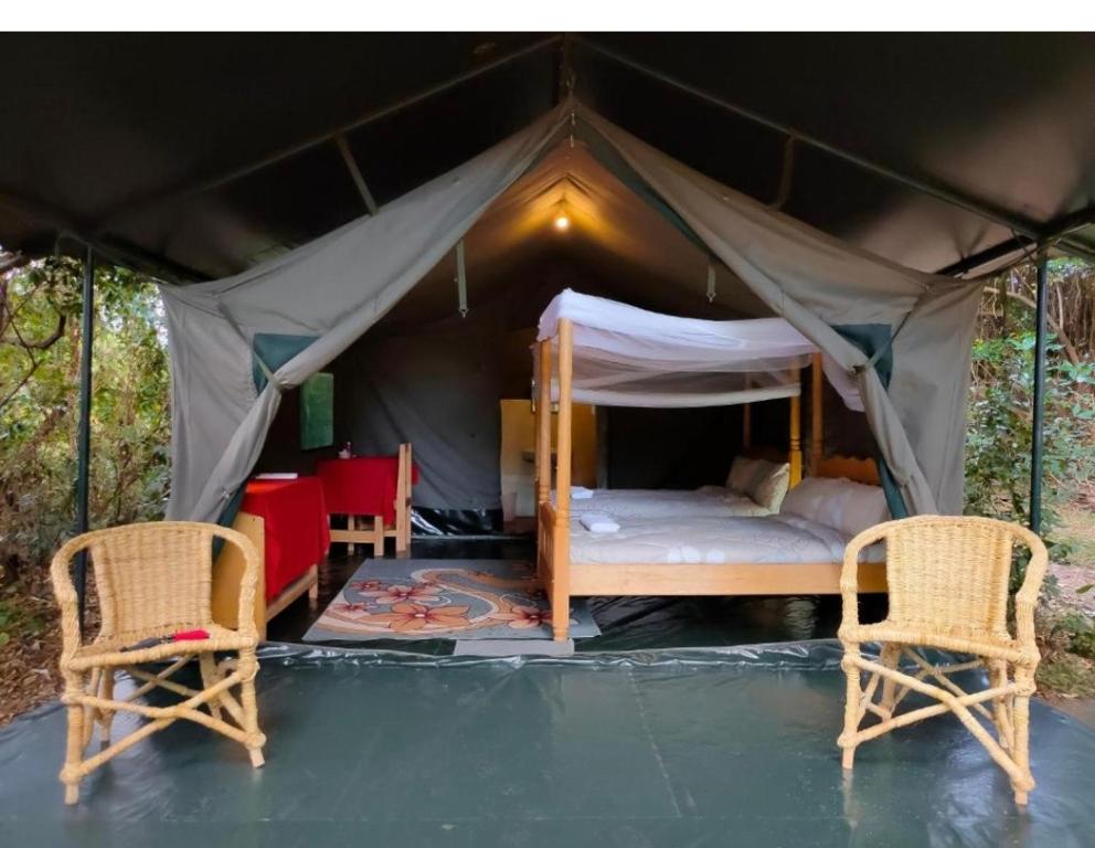 Dan Maasai Mara safari camp في Sekenani: خيمة فيها كرسيين وسرير