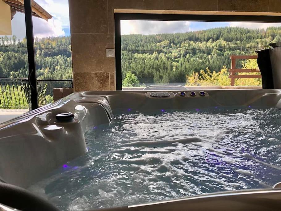 ル・トリーにあるLes Fougères 12 personnes SPA/SAUNAの山の景色を望むホットタブ