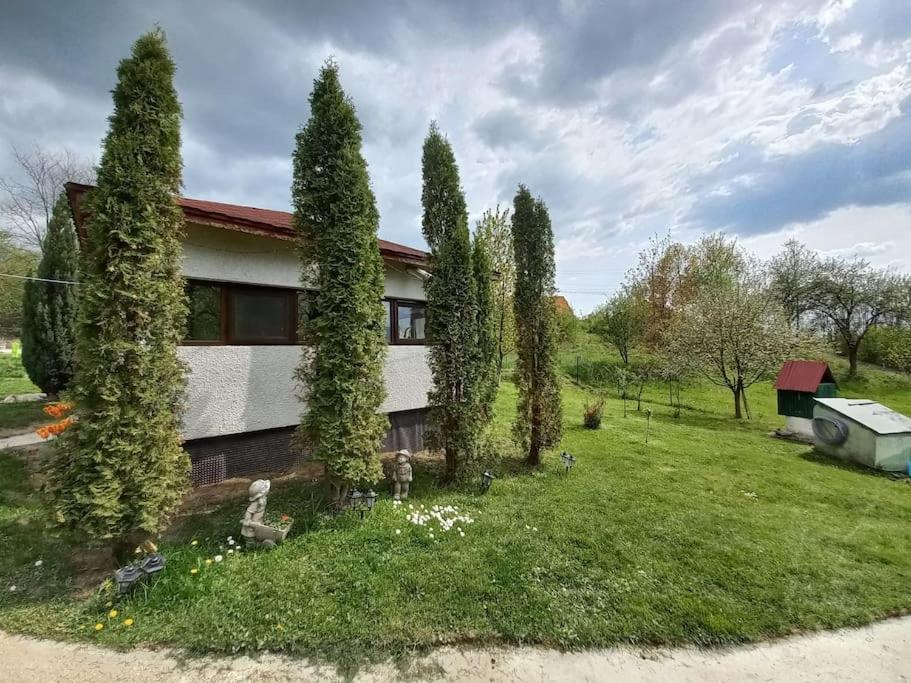 a house with a bunch of trees in the yard at Theea's tiny house in Certeju de Sus