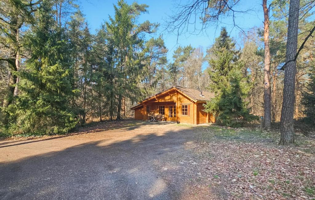 une cabane en rondins avec allée dans les bois dans l'établissement Awesome Home In Neede With Wifi, à Neede