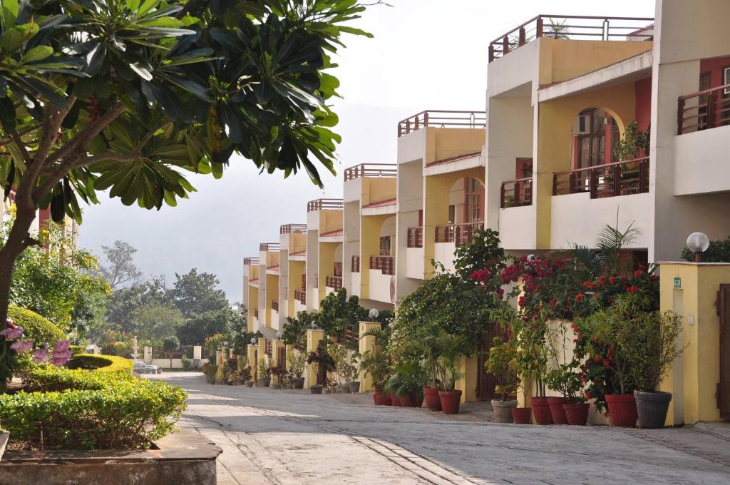瑞詩凱詩的住宿－Ayurveda Bhavan，植物堆积的建筑物前的街道