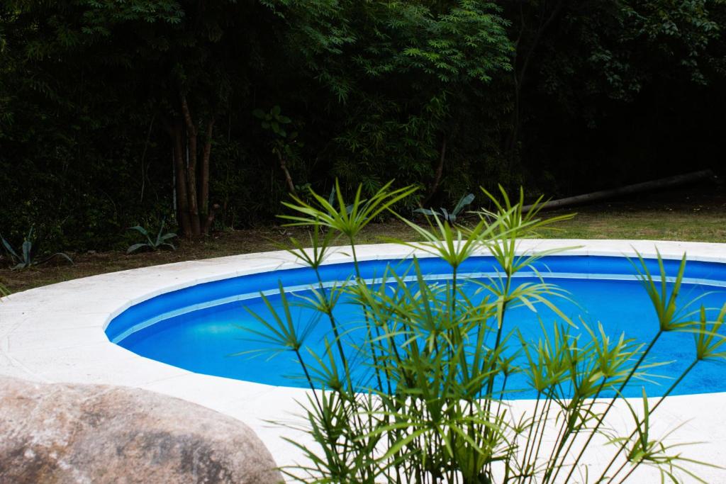 una piscina azul con algunas plantas delante de ella en Allende Suite Departamentos en Villa Allende