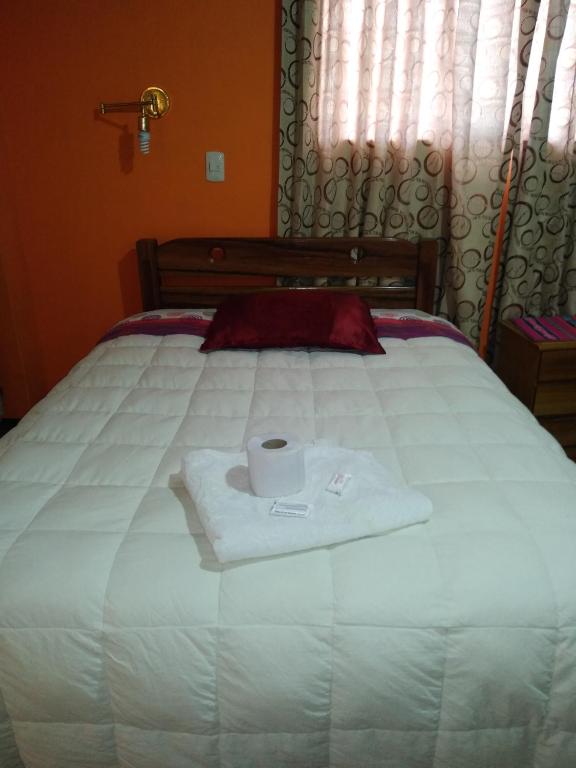 Postel nebo postele na pokoji v ubytování HOSTAL JOYA ANDINA