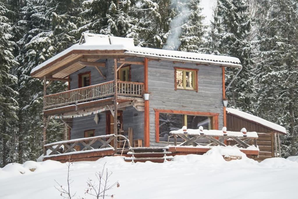 Elupuu forest cabin with sauna v zimě