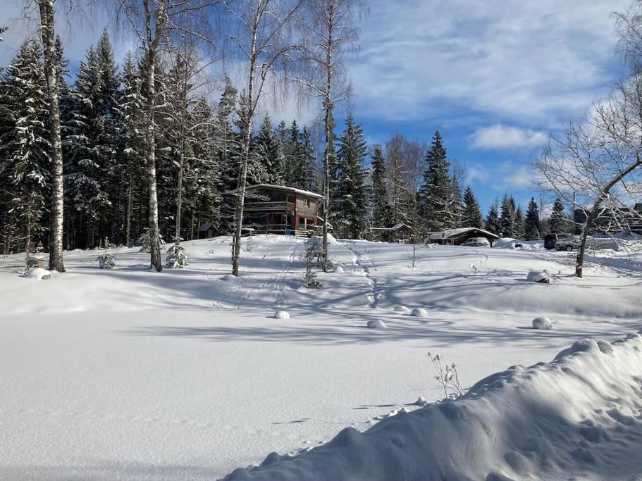 Elupuu forest cabin with sauna v zimě