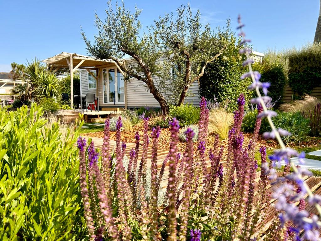 Zahrada ubytování Camping de la côte des légendes