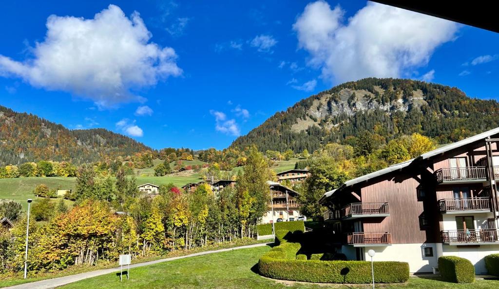 a resort with a mountain in the background at Studio à Praz-sur-Arly in Praz-sur-Arly