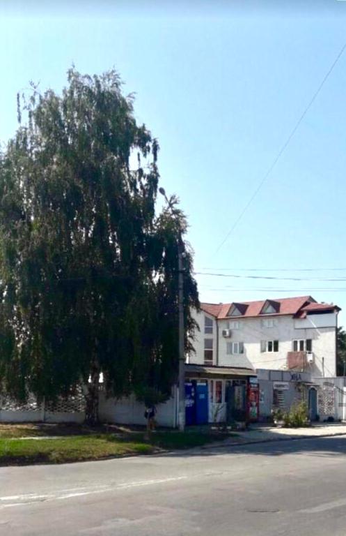 a house and a tree in front of a street at Квартира in Chernivtsi
