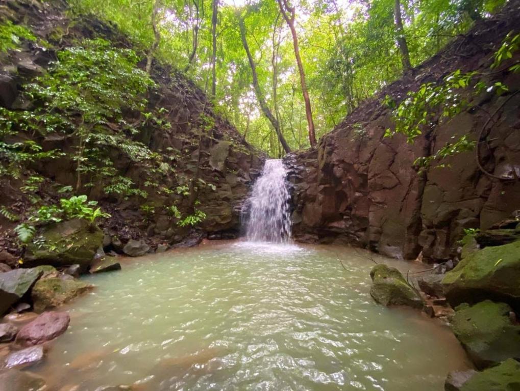 une cascade dans une piscine d'eau dans une forêt dans l'établissement Finca ABC de la Vida, à San José