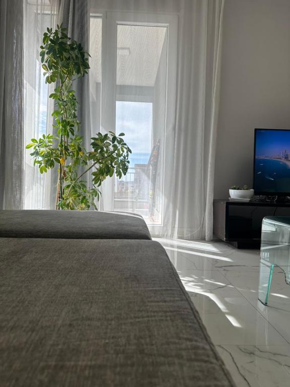 Tirana apartment