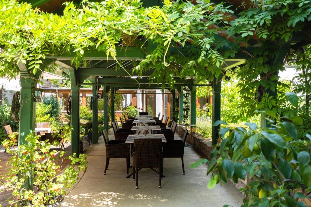 Zahrada ubytování Hotel Suggenbad
