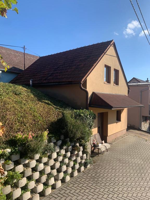 une maison avec quelques plantes sur son côté dans l'établissement V srdci Moravy, à Velké Bílovice