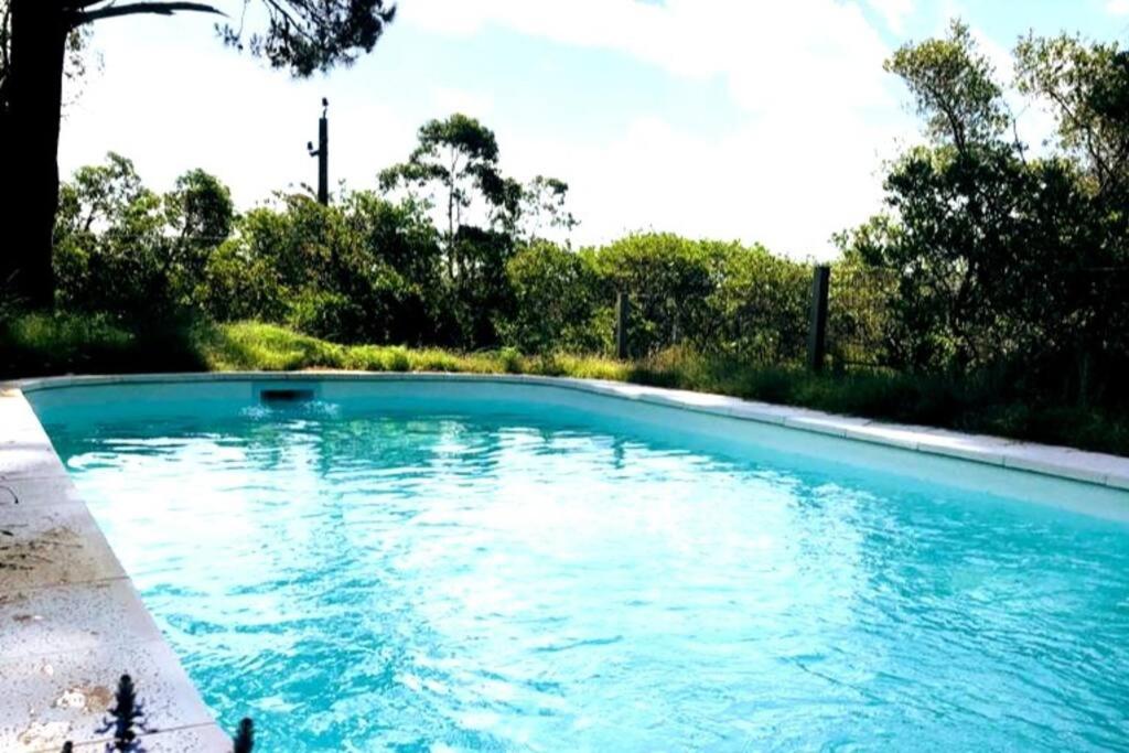 una piscina de agua azul en un patio en Hermosa, arbolada y amplia en La Floresta