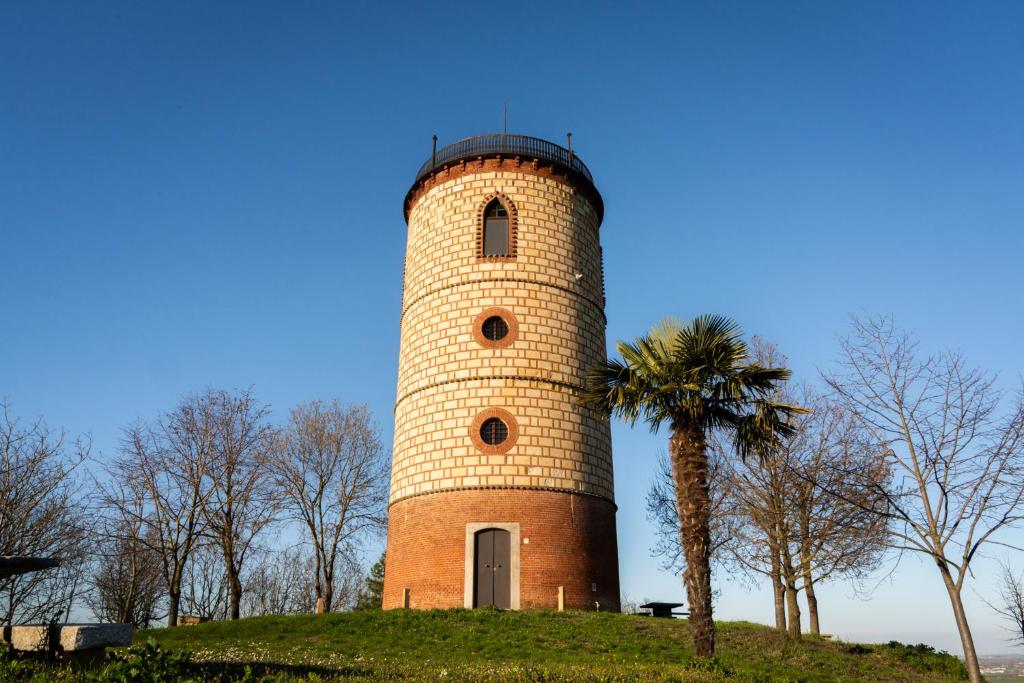 Torre Veglio في Terruggia: برج من الطوب فوق تلة فيها نخلة