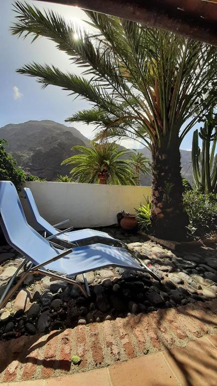 a blue chair sitting on the ground next to a palm tree at casa limon, El Guro in Valle Gran Rey