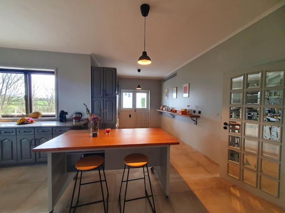 Kuchyň nebo kuchyňský kout v ubytování Azurara Guesthouse