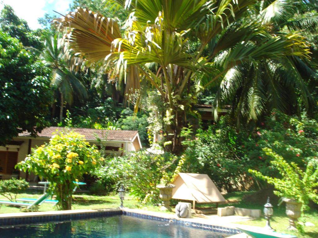 Zahrada ubytování Coté Sud - Unique Villa & Bungalows Intendance Road