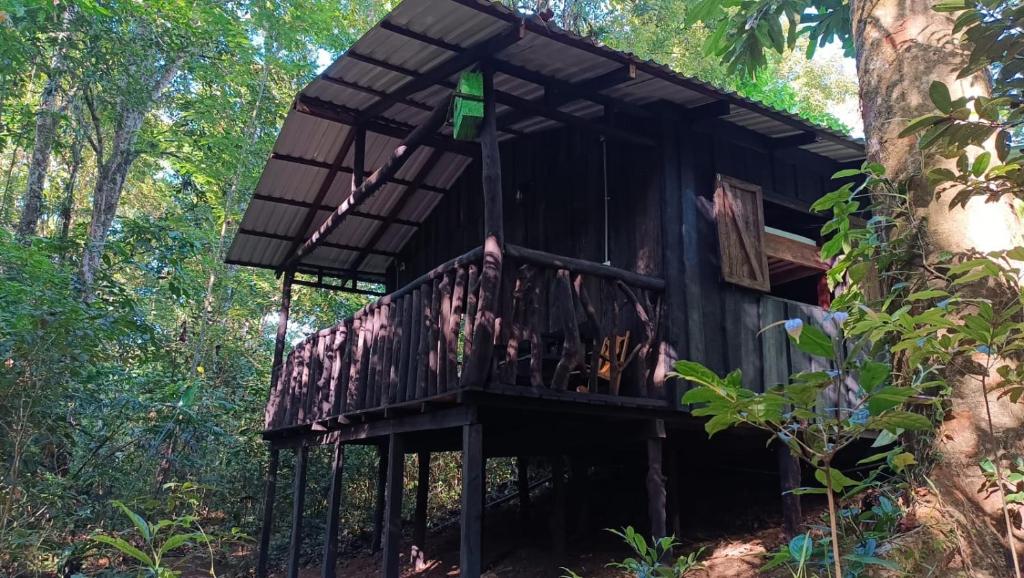 a tree house in the middle of the forest at Cabaña blue jeans in San Ramón