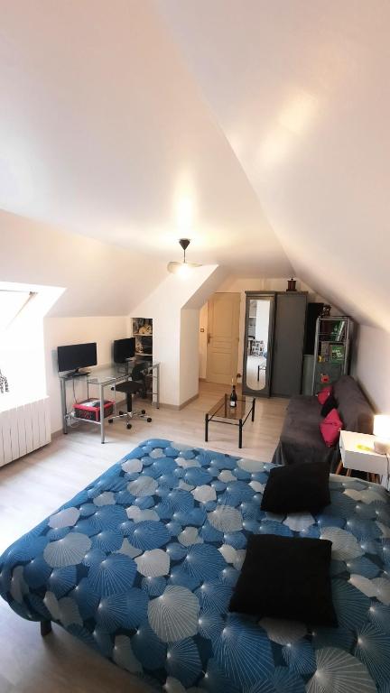 a living room with a large blue rug on the floor at Le chaudron vert in Moncé-en-Belin