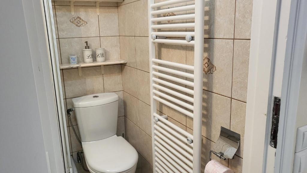 a bathroom with a toilet and shelves in it at Eirini Home in Andros