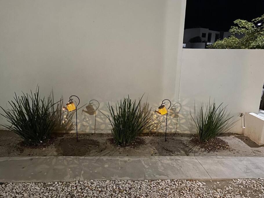 three lights on the side of a wall with plants at Casa vacacional Mar&Paz in La Paz