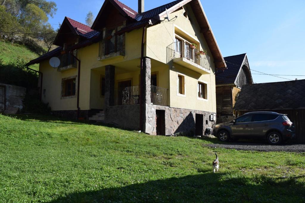 un chat debout dans l'herbe devant une maison dans l'établissement Casa George, à Răchiţele