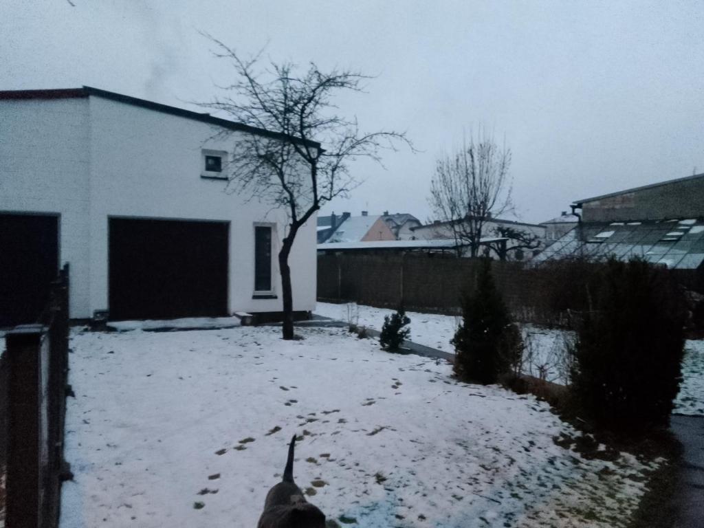 a yard covered in snow next to a house at Turystyczny kąt 1 in Augustów