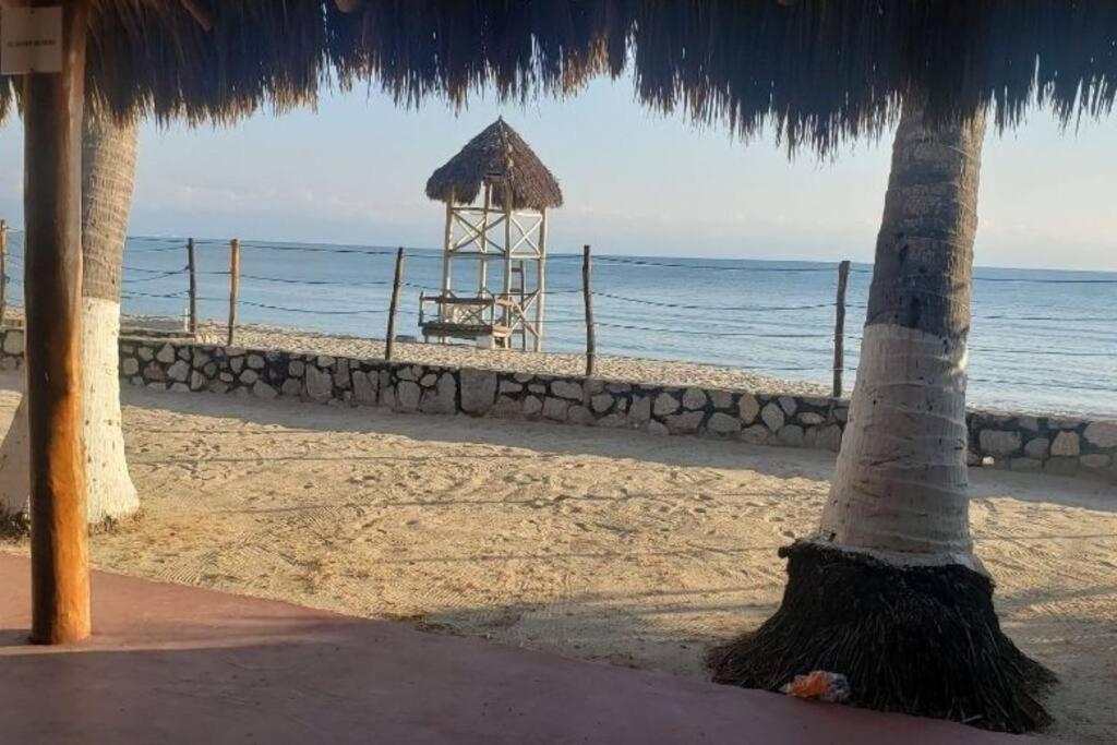 a beach with a palm tree and a lifeguard tower at Tranquilidad cerca de la playa in Bucerías