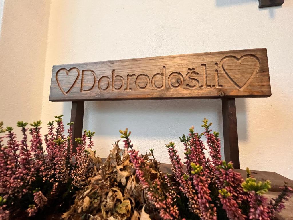 Fotografie z fotogalerie ubytování Villa Boris v destinaci Starše