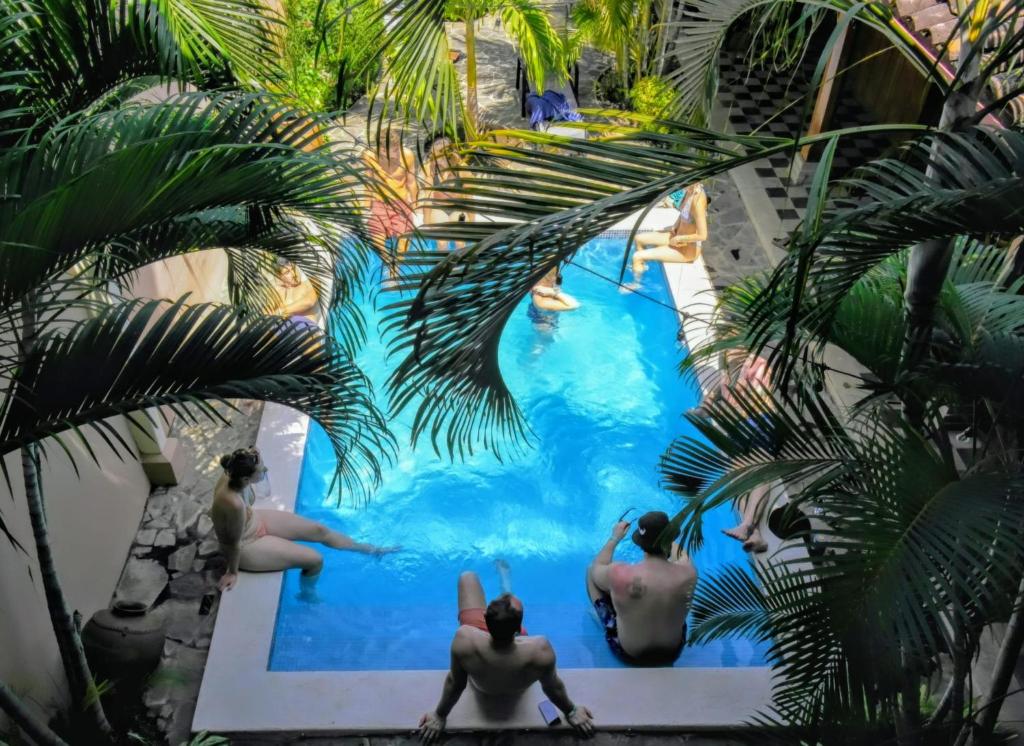 a group of men swimming in a pool with palm trees at Hostal Azul in Granada