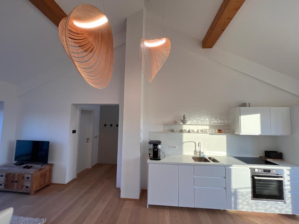 Kuchyň nebo kuchyňský kout v ubytování Villa Boris